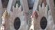 Sagrada_Familia_05.jpg 720x400 47KB 