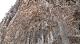 Sagrada_Familia_23.jpg 720x400 68KB 