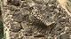 Colonia_guell_06.jpg 720x400 97KB 
