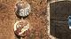 Park_Guell_01.jpg 720x400 82KB 