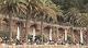 Park_Guell_16.jpg 720x400 76KB 